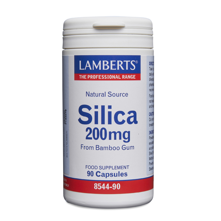 Lamberts Silica 200mg 90 caps